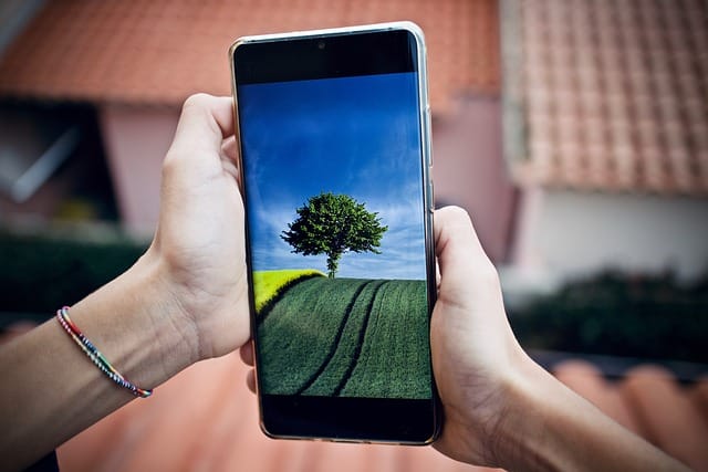 Which is The Best Virus Removal app: Top 15 Virus Removal Apps