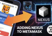 MetaMask Me Nexus Kaise Add Karein Aasan Tarika